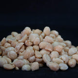 Blanched Roasted Peanuts