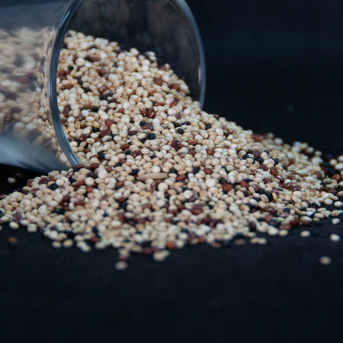 Tricolour Quinoa Grain
