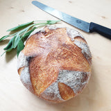 White Artisan Sourdough Bread